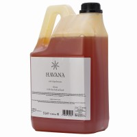 Szampon-żel  hotelowy  HAVANA 5L kanister