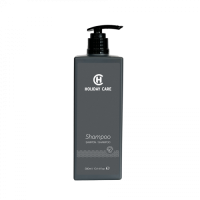Szampon do włosów HOLIDAY CARE dyspenser 300ml